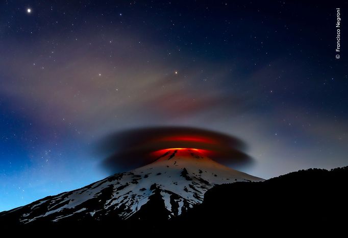 Fotografie ze soutěže Wildlife Photographer of the Year, které se utkají o cenu veřejnosti.