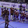 MS v hokejbale - čtvrtfinále - ČR vs. Indie - pro video