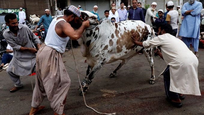 Obrazem: Muslimové si obětováním zvířat a modlitbami připomínají proroka. Slaví "svátek oběti"