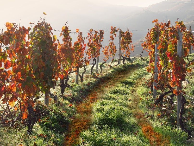 Fotím-Fotíš, snímky z komuninty na Google Plus