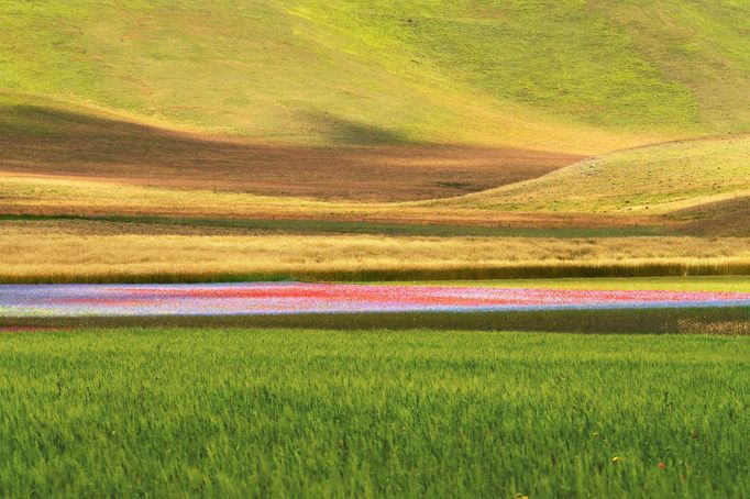 Rozkvetlé louky v okolí Castelluccia di Norcia, Itálie