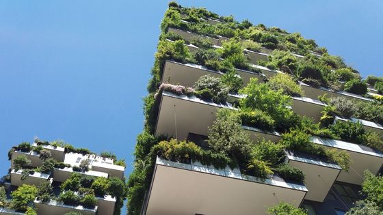 Bosco Verticale aneb vertikální les uprostřed Milána.