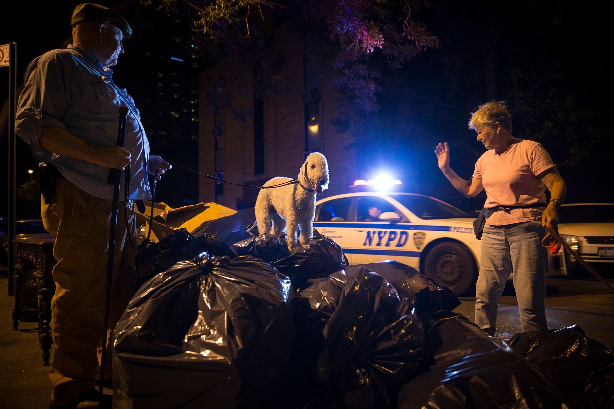 New York City Police patrol car passes as Reynolds, founding member of Ryders Alley Trencher-fed Society looks on and his Bedlington Terrier, Catcher, stands on a pile of garbage bags during organized