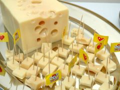 Novozélandští výzkumníci už vnášejí do krav gen, který způsobí, že jejich mléko bude vhodnější  pro  výrobu sýra.