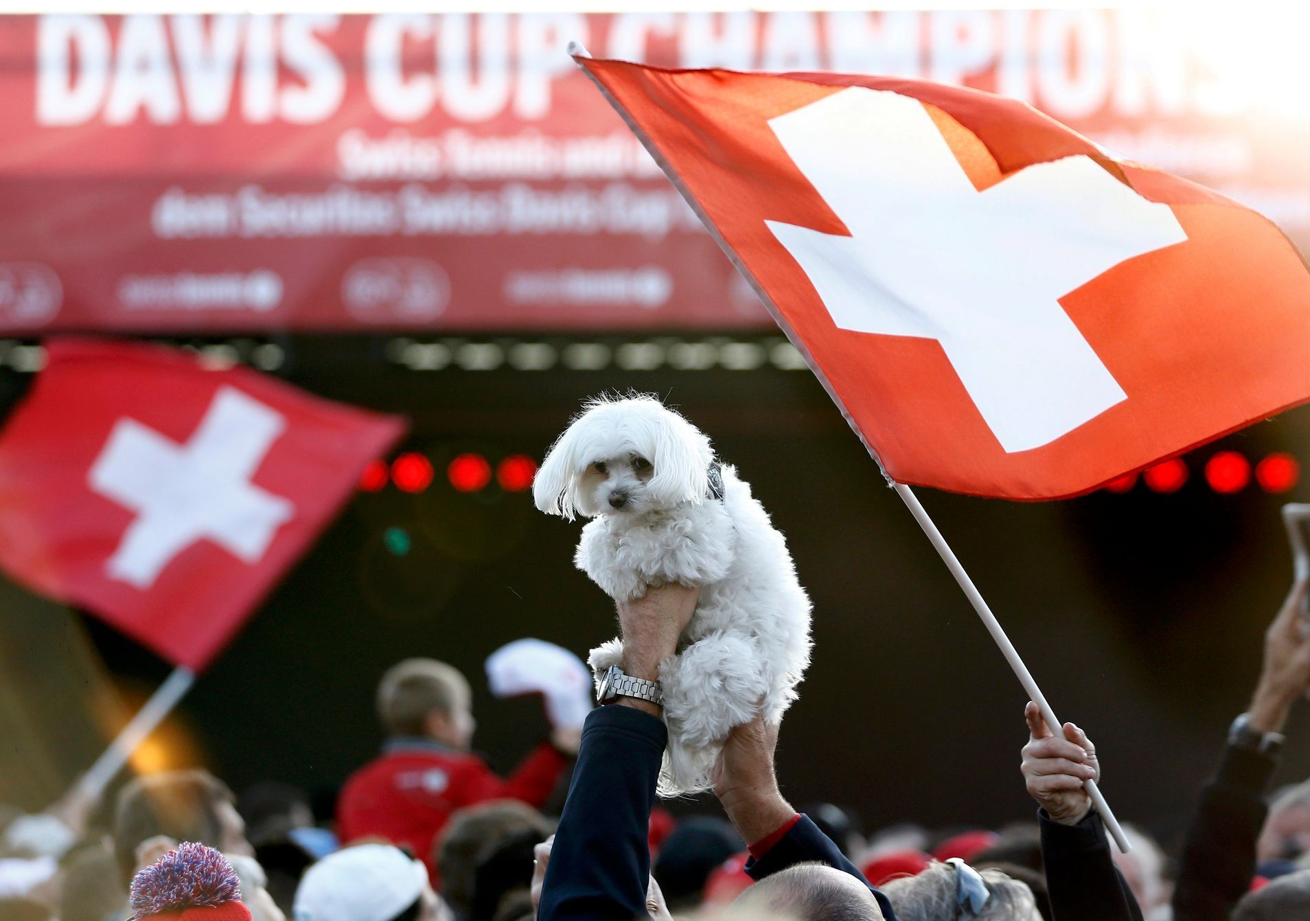 Švýcaři slaví vítězství v Davis Cupu