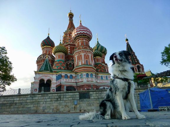 Corey vzorně sedí před chrámem Vasila Blaženého v Moskvě.