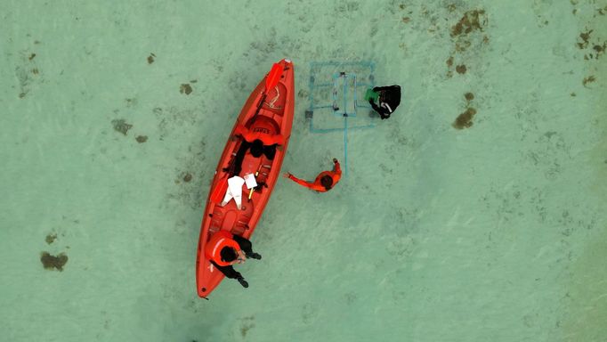 Thajská zátoka Maya Bay, kde turisté pozorují žraloky černoploutvé.