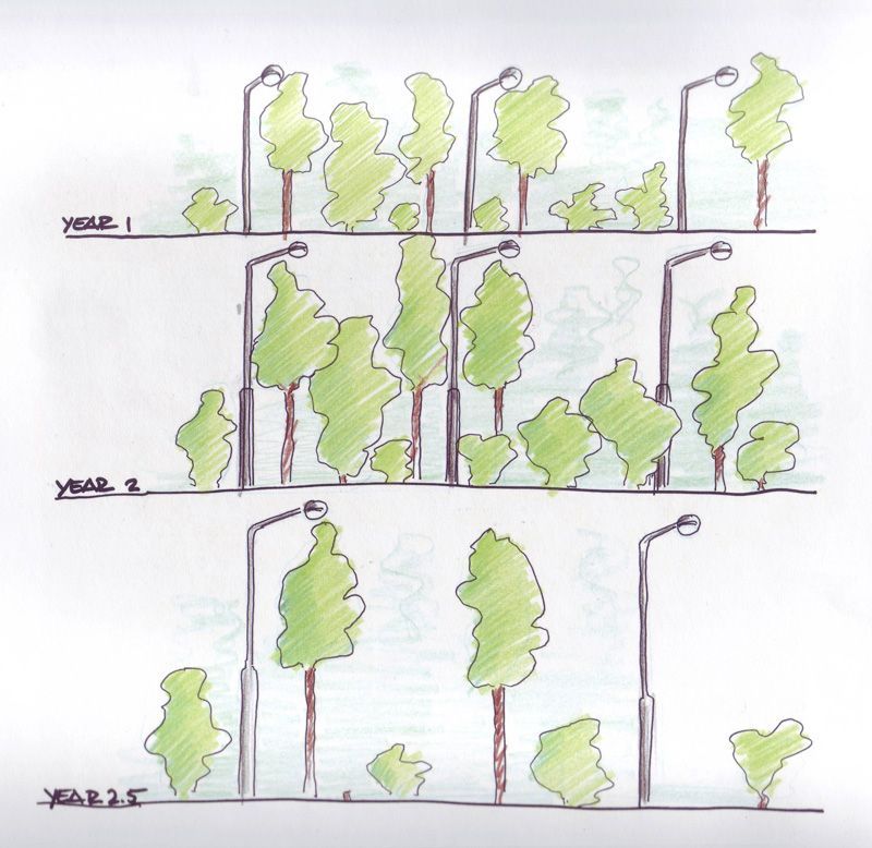 foto8