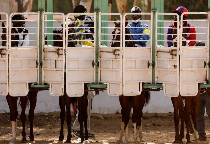 Zohra Bensemraová: Fotopříběh - Mladý senegalský žokej touží po světové slávě