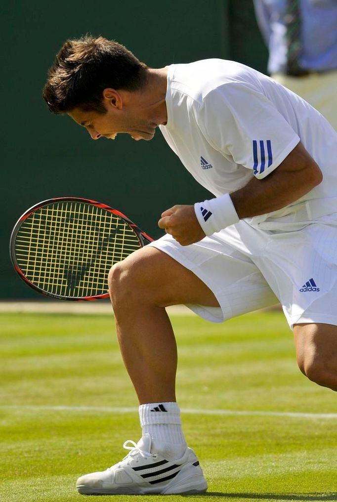 Fernando Verdasco