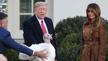 Krocaní milost v Bílém domě. Trump osvobodil hlavní chod sváteční večeře