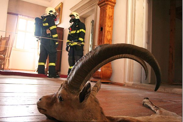 požární cvičení Lemberk