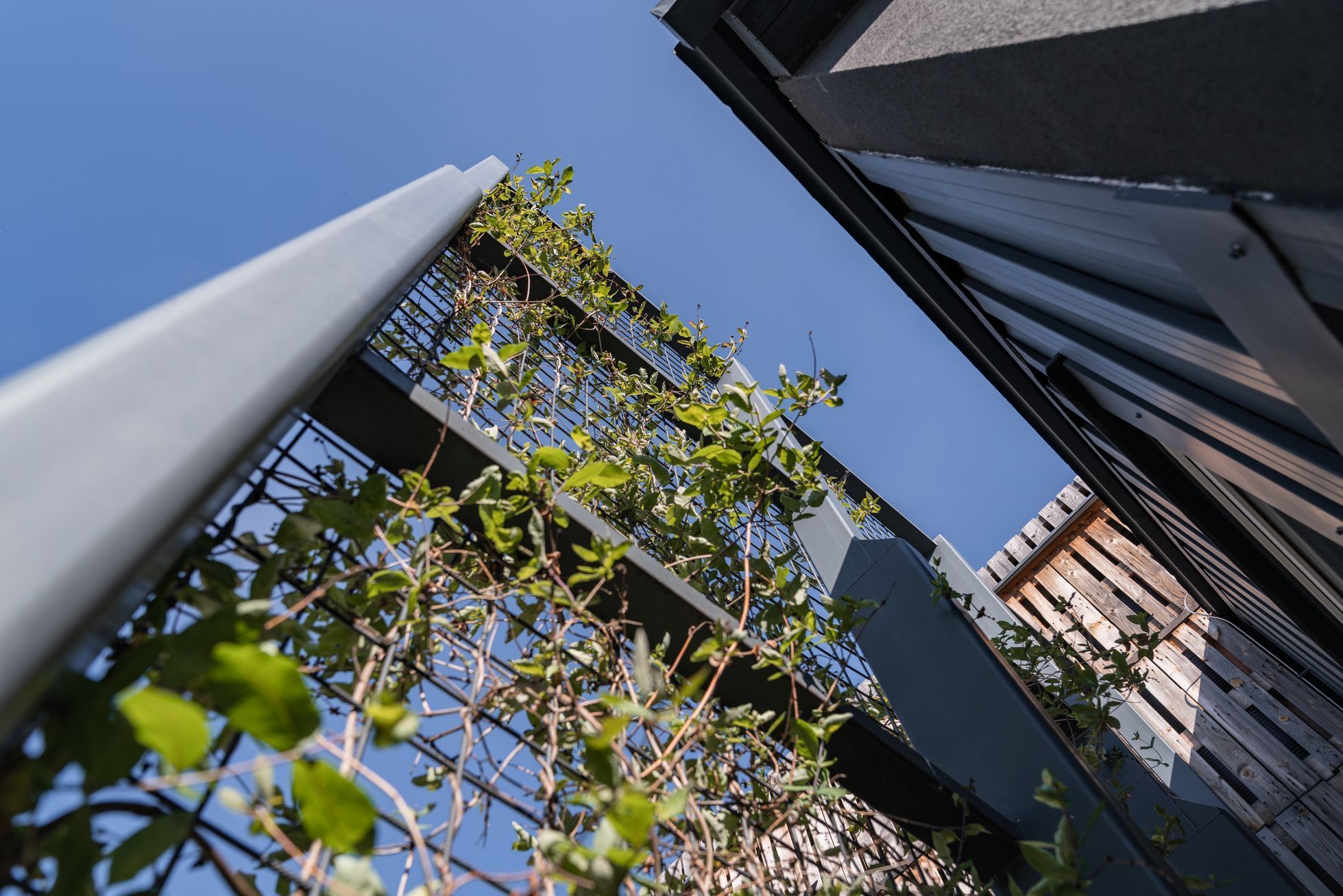 Paskov, rekonstrukce, budova, firma