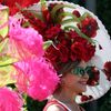 Ascot, Velká Británie, dostihy