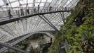 Visitors walk on an elevated walkway inside a "cool" conservatory at the Gardens by the Bay in Singapore June 29, 2012. The 101-hectare gardens situated at the heart of Singapore's new downtown at Marina Bay, which have two greenhouses and 220,000 plants from almost every continent, were officially opened by Singapore's Prime Minister Lee Hsien Loong on Thursday. REUTERS/Tim Chong (SINGAPORE - Tags: ENVIRONMENT SOCIETY TRAVEL) Published: Čer. 29, 2012, 8:14 dop.