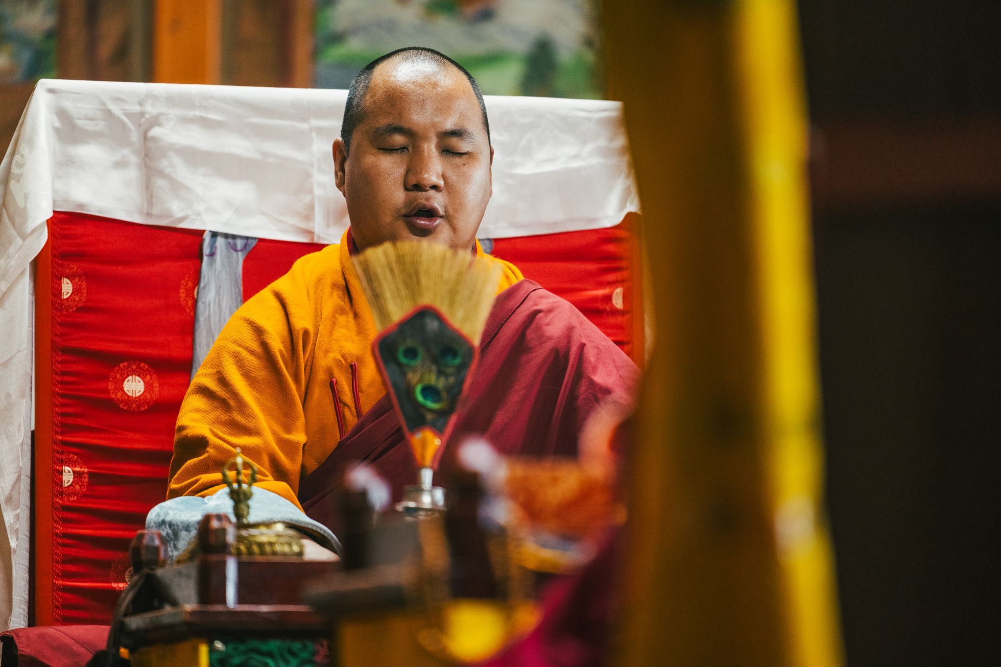 Žlutá žába Dan Přibáň