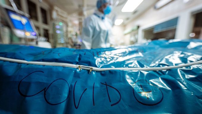 V souvislosti s covidem loni zemřelo přes 25 tisíc lidí (snímek z jednotky intenzivní péče ve Fakultní nemocnici Královské Vinohrady v listopadu 2021).