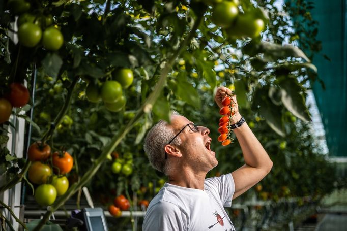 Majitel farmy Bezdínek pan Jiří Stodůlka, Orlová Lutyně, 
srpen 2021