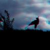 ZOO 3D