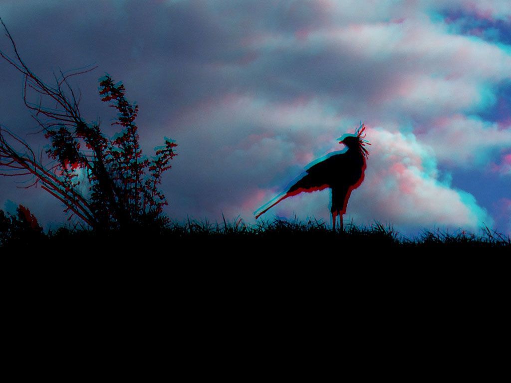 ZOO 3D