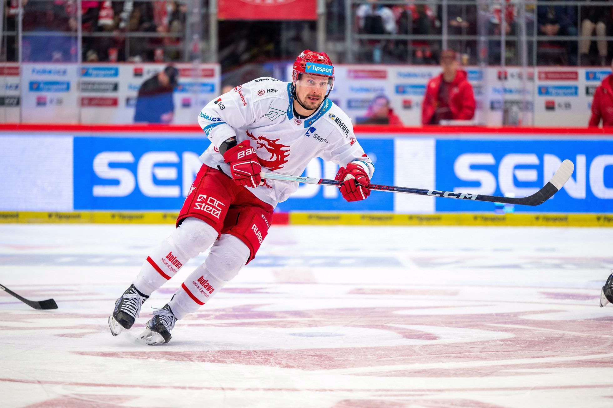 Třinecký hokejový útočník Richard Pánik
