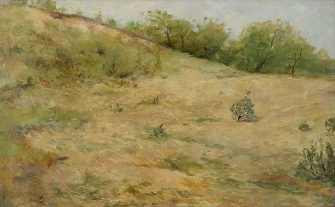 Otakar Lebeda: Travnatá stráň, nedatováno.