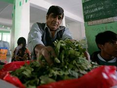 Koka se na legálních trzích v Bolivii prodává na váhu a zákazníci si ji odnášejí v igelitových sáčcích