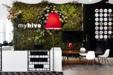 Česká firma Capexus letos realizovala nové prostory v kancelářské budově v Bratislavě, jedná se o koncept MyHive.
