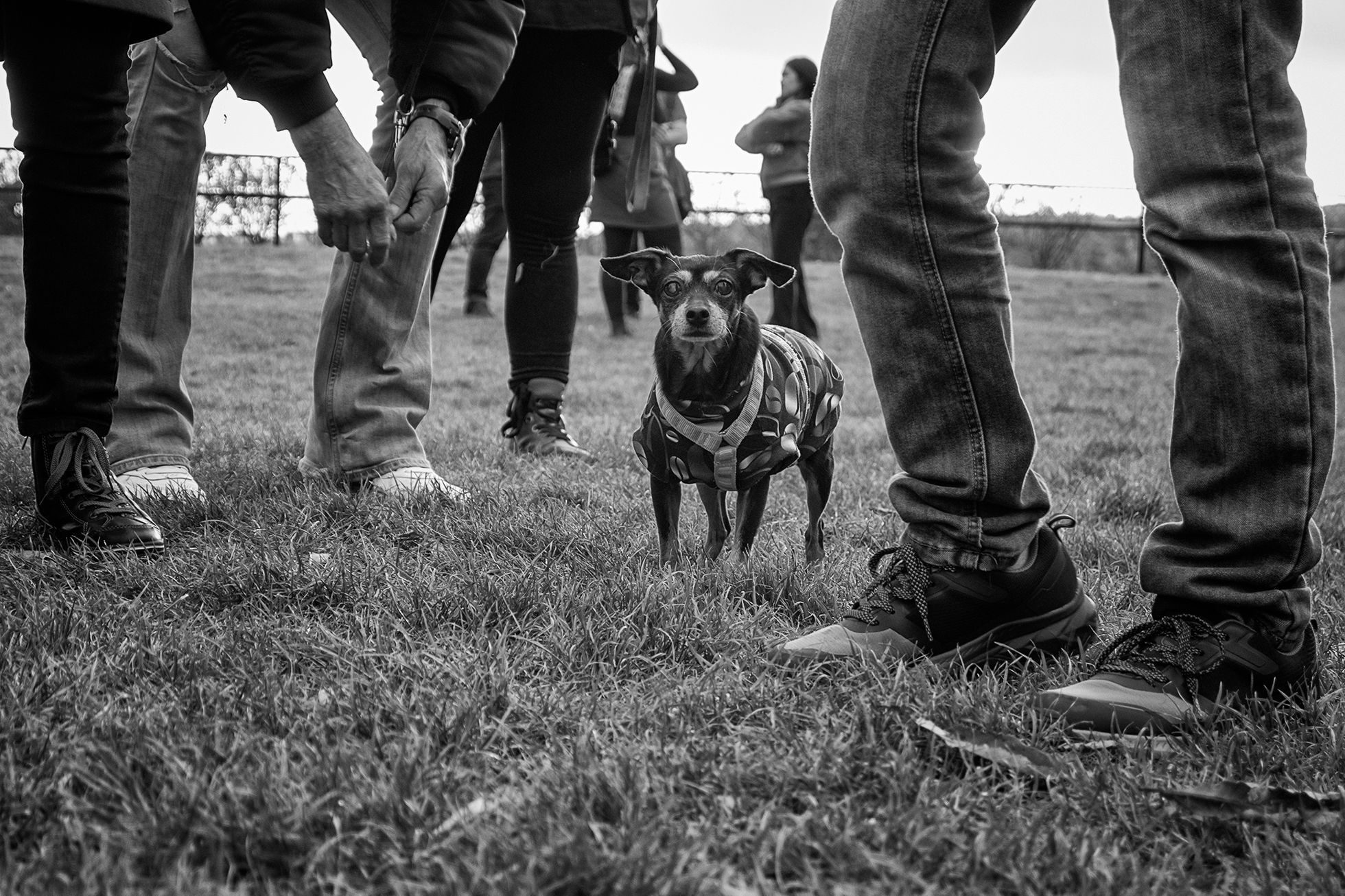 TOP FOTO 2023: Jan Jirkovský