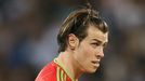 Gareth Bale (Wales)