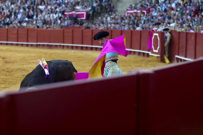 Spanish matador Javier Castano performs a pass to a bull during a bullfight in The Maestranza bullring in Seville