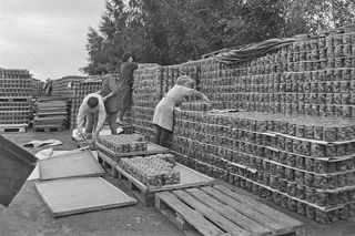Průmyslová zpracování a výroba nakládaných okurek na Znojemsku na Jižní Moravě v roce 1972. Na snímku: Provoz závodu n.p. Fruta ve Znojmě.