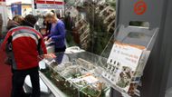 Začíná se od základů. První část výstavy ovládli zejména realitní kanceláře a developerské firmy.