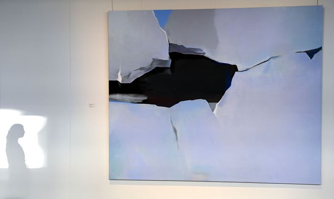 Na snímku ze zlínské výstavy děl Jana Merty je obraz Ontologická díra v ledu.