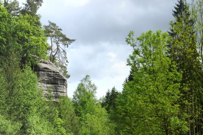 Truskavenský důl, hranice území Vysoká a Kokořín-Truskavna