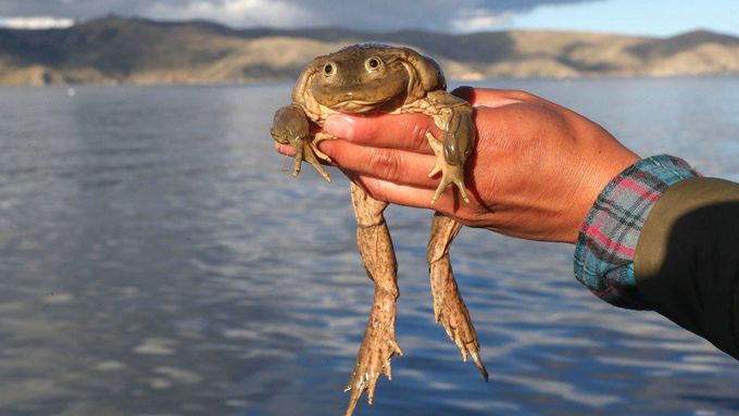 Foto: Největší jezero Jižní Ameriky ničí odpadky. Místní se bojí o ryby i vzácné žáby