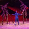 Cirque du Soleil: Ovo, 2023, O2 arena