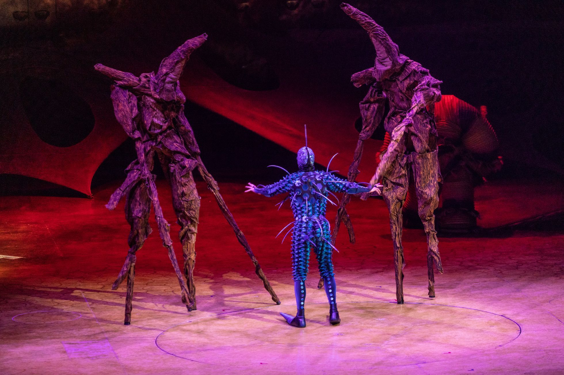 Cirque du Soleil: Ovo, 2023, O2 arena