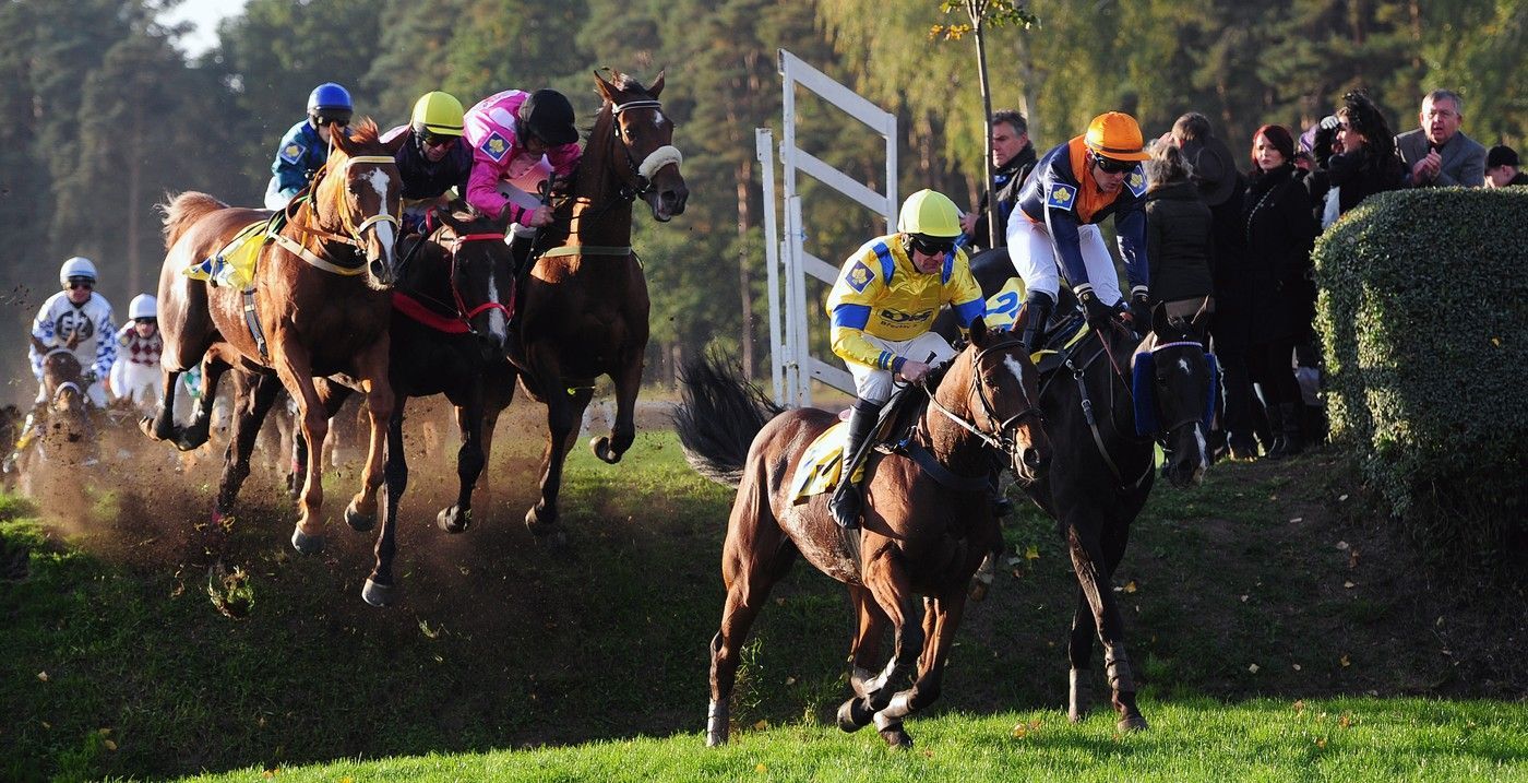 Velká Pardubická, historie, výročí, dostih, dostihy, Pardubice, Sport