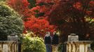 Two men walk hand in hand past changing autumn leaves in Sheffield Park Gardens near Haywards Heath in southern England October 17, 2012. REUTERS/Luke MacGregor (ENVIRONMENT SOCIETY TPX IMAGES OF THE DAY) Published: Říj. 17, 2012, 3:33 odp.