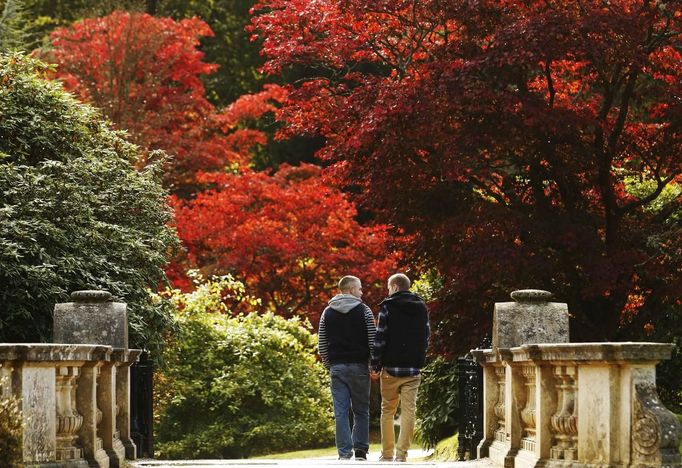 Two men walk hand in hand past changing autumn leaves in Sheffield Park Gardens near Haywards Heath in southern England October 17, 2012. REUTERS/Luke MacGregor (ENVIRONMENT SOCIETY TPX IMAGES OF THE DAY) Published: Říj. 17, 2012, 3:33 odp.