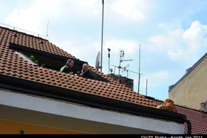 Doga utekla v Praze na střechu, museli pro ní hasiči
