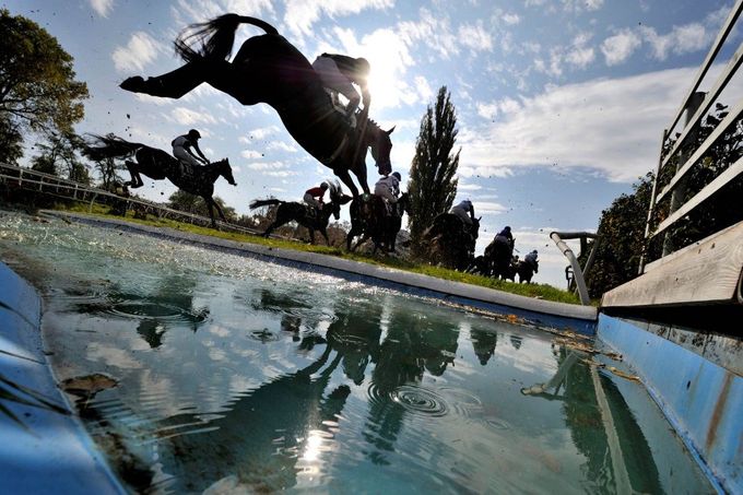 Překážkové dostihy jako Velká pardubická jsou divácky atraktivní. Z chovatelského hlediska však mají větší význam rovinové dostihy.