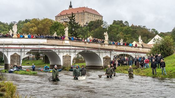 Kapr! Kapr je pryč! O zmizelé rybě a focení portrétu Náměště, které vejde do legend