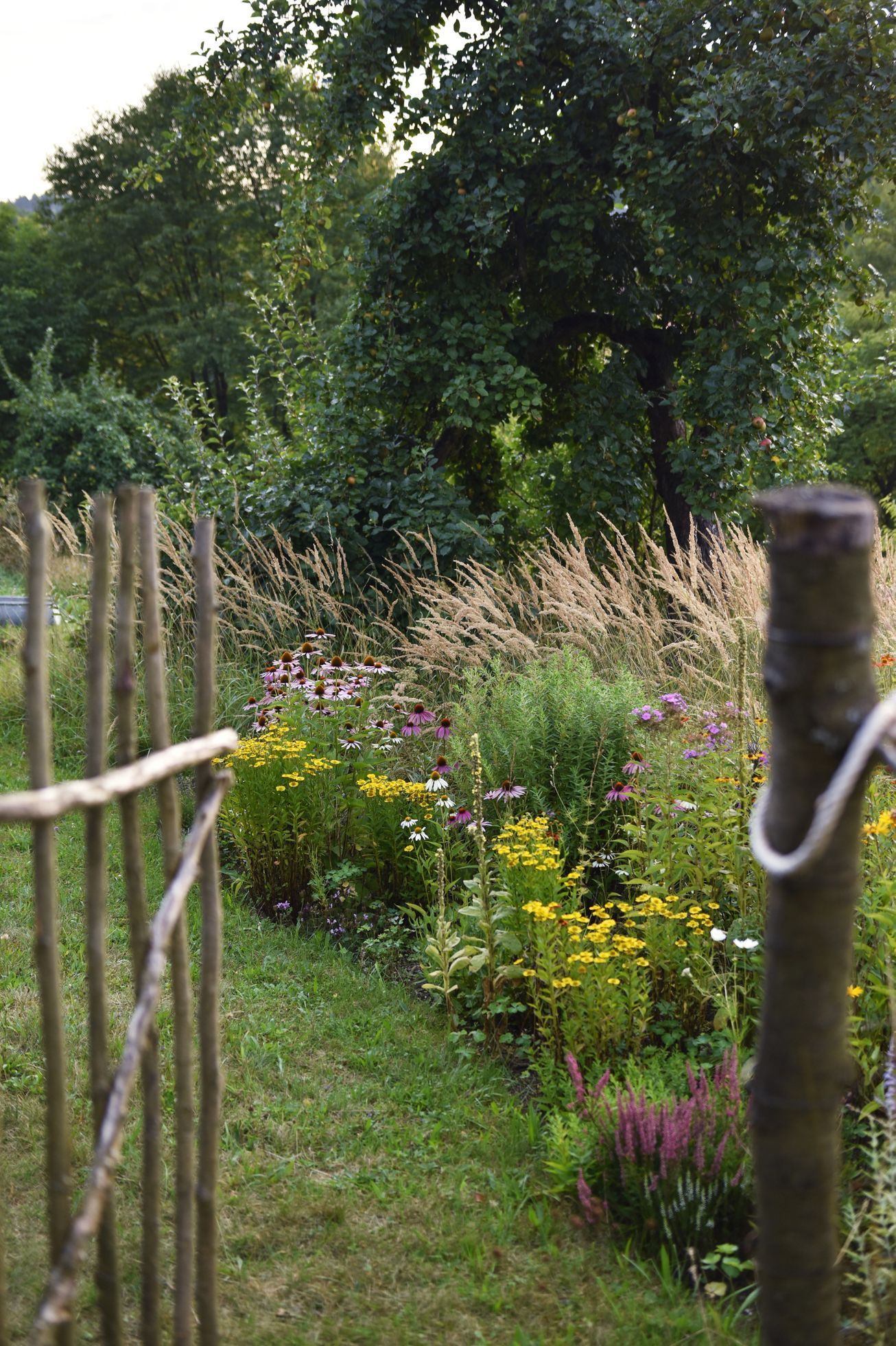 domeček na kopci, dům, rekonstrukce, zahrada, příběh