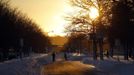 A cyclist crosses Memorial Drive in Cambridge, Massachusetts February 9, 2013 following a winter blizzard. REUTERS/Brian Snyder (UNITED STATES - Tags: ENVIRONMENT) Published: Úno. 9, 2013, 10:46 odp.