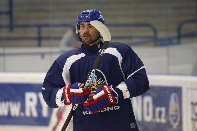 Tomáš Plekanec