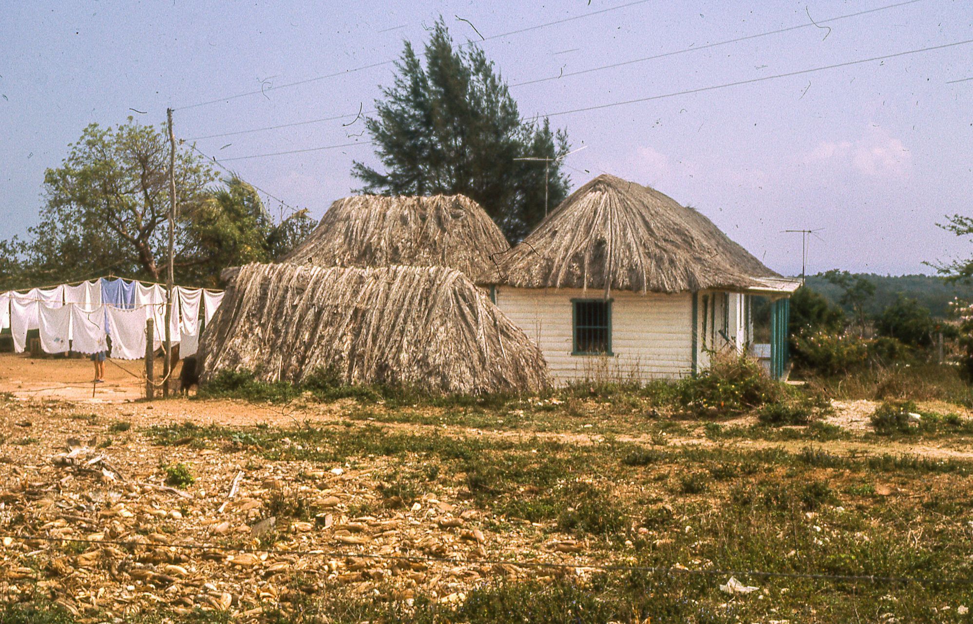 Kuba, rok 1989, Petr Levinský, Zahraničí, vol. 2