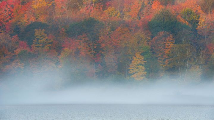 Pátek a sobota proprší, teploty klesnou i k pěti stupňům. Příští týden se oteplí