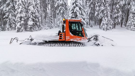 Projeli jsme s rolbou sněhem zavalené běžkařské trasy v okolí šumavské Kvildy.